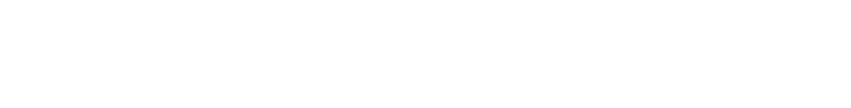 LeapLearning Logo white